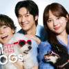 火曜ドラマ『初恋DOGs』｜TBSテレビ