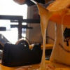 チーズ消費量、実は全国トップクラス　拡大する人気のワケ | 経済 | カナロコ by 神奈