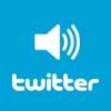 WP Twitter Auto Publish – WordPress プラグイン | WordPress.org 日本語
