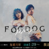 FOGDOG｜読売テレビ